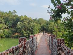 -广州白江湖森林公园