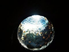 -珠海长隆海洋王国