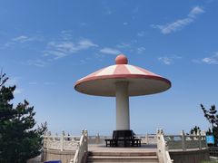 -摩天岭风景区