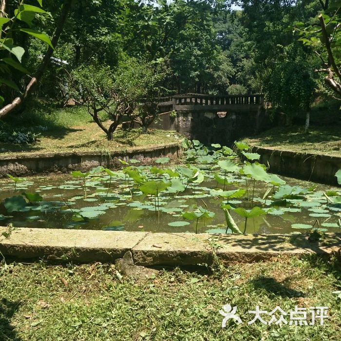 湖南省森林植物園