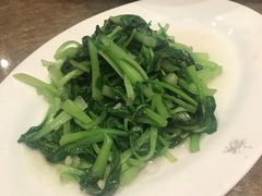 清炒鸡毛菜-苏浙汇(古北店)