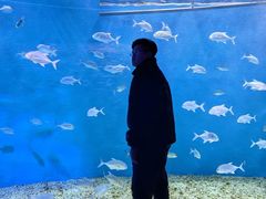 -哈尔滨波塞冬海底世界