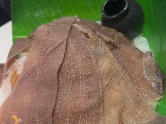 -九鼎轩脆毛肚火锅(三钢里店)