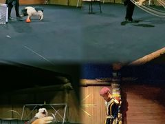 -汕头蓝水星欢乐世界