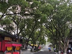 -东钱湖小普陀景区