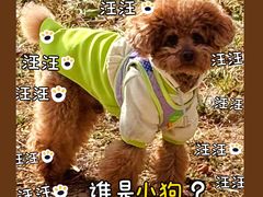 -心仪动物医院·牙专科·肿瘤·心脏科(西客站院)