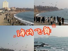 -银沙滩浴场
