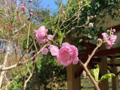 -桃花涧