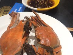 -蓝钻·国际美食海鲜自助百汇(西直门店)