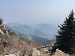 -泰山风景名胜区