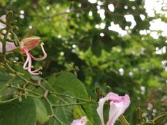 -水濂山森林公园