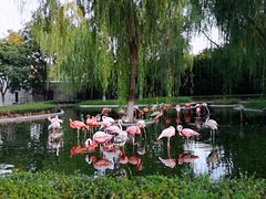 -石家庄市动物园