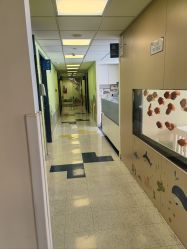 -杭州贝瑞斯美华妇儿医院·早孕·产检·儿科