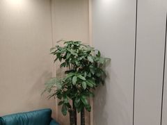 -W·24H茶楼·棋牌·掼蛋(望京店)