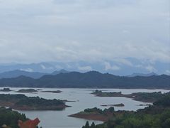 -浔味·山屿湖·正宗淳牌全鱼宴老字号