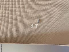 -苏州金鸡湖文博诺富特酒店