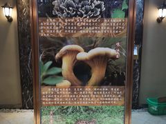 -爱膳菌锅锅(阳南店)