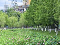-沐仙湖湿地公园