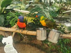 -南宫五洲植物乐园