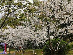-堤角公园