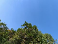 -艾溪湖湿地公园