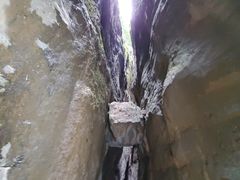 -武陵山森林公园