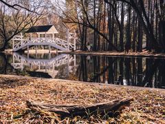 -上海共青森林公园