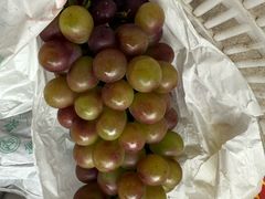 -马陆小张葡萄园农家乐