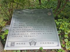 -广州神农草堂中医药博物馆