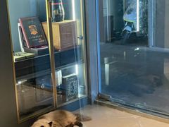 -Estaeslavida分享茄雪茄吧(亿彩购物中心店)