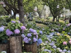 -名花谷生态庄园