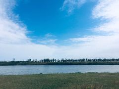 -春花秋色城市公园