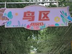 -哈尔滨道外花鸟鱼市场