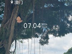-大炮台