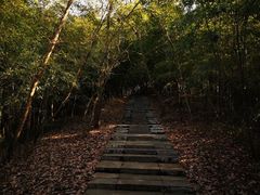 -南京市无想山景区