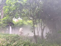 -张家港金凤凰度假村温泉
