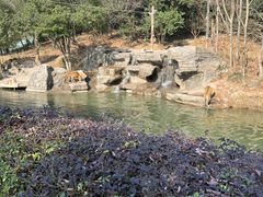 -宁波野生动物园