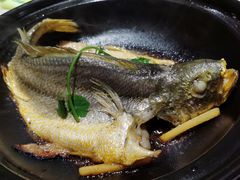 原汁原味焗黄花鱼-八月小厨· 湛江风味粤菜