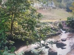 -重庆彩云湖湿地公园