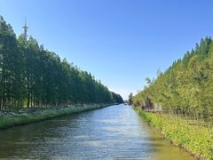 -黄海国家森林公园