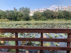 -新江湾城公园