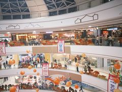 -万达广场(菏泽牡丹店)