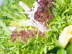 -南门四季铜锅涮肉(左家庄店)