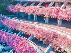 -深圳国际园林花卉博览园
