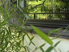 -君庭中餐厅(友谊宾馆店)