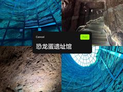 -中国西峡恐龙遗迹园