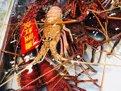 -湛江渔港·大排档(乐园路总店)