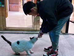 -富豪会展公寓酒店·富豪轩