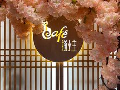 -猫小主咖啡·猫咖cat cafe(福田店)