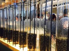 -喜茶(上海打浦桥日月光gelato lab+店)